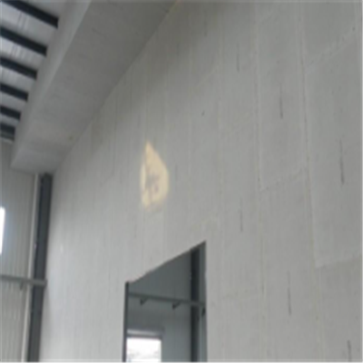 杂多宁波ALC板|EPS加气板隔墙与混凝土整浇联接的实验研讨